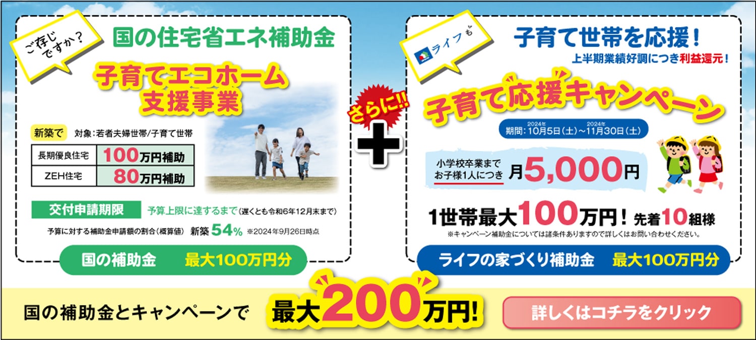 国の補助金とキャンペーンで最大200万円