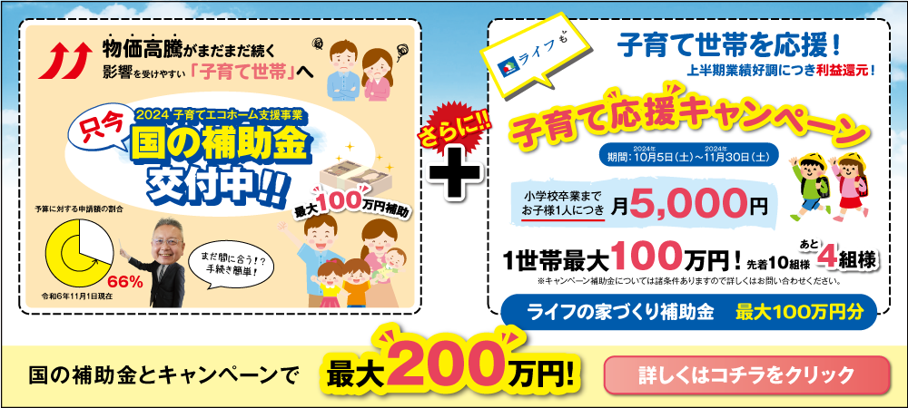 国の補助金とキャンペーンで最大200万円